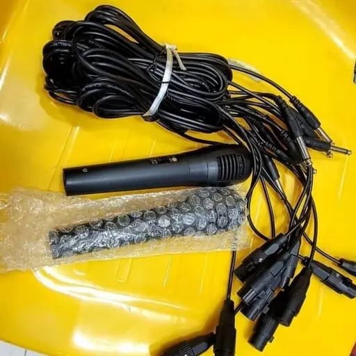 Karaoke Microphone