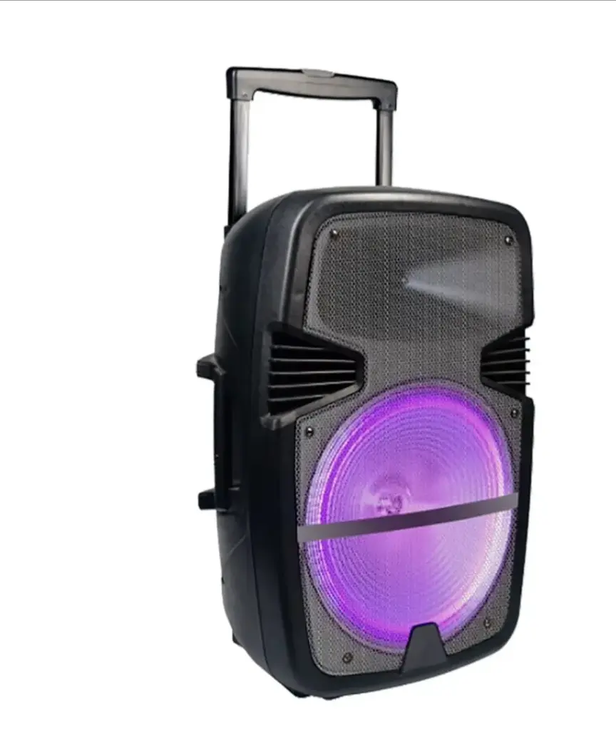 Portable Bluetooth Wireless 15-inch Speaker NDR-A15