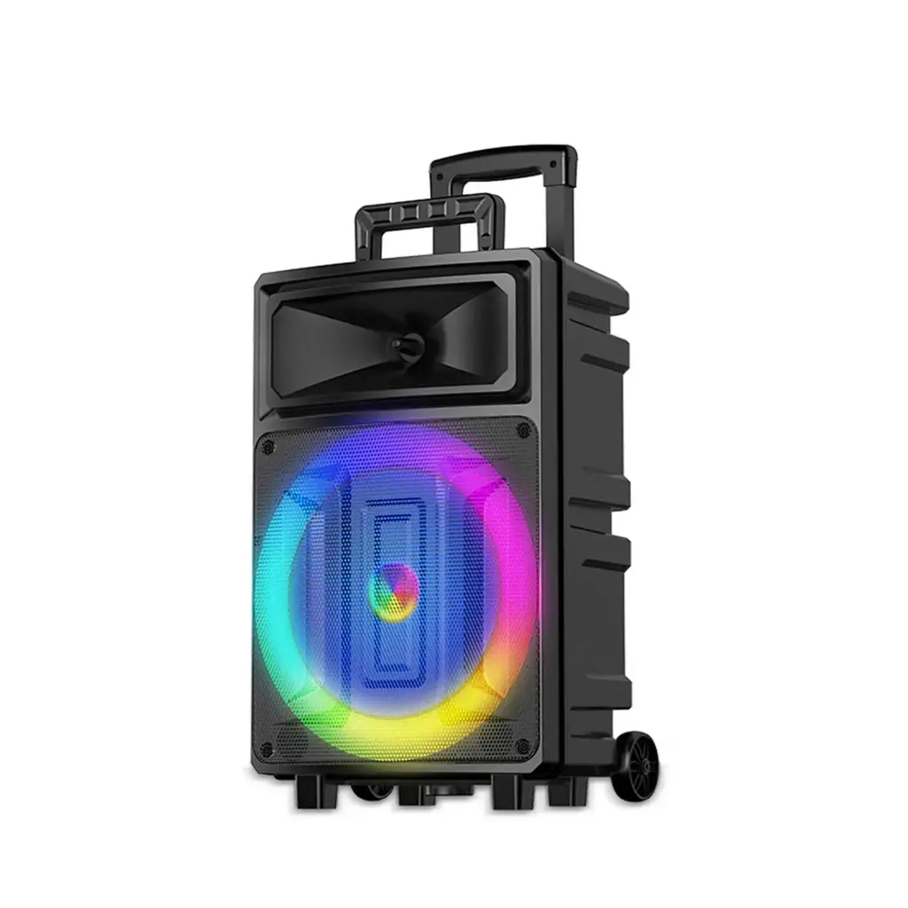 Sing-e ZQS-12131 Multimedia Portable Double 12-Inch Speaker
