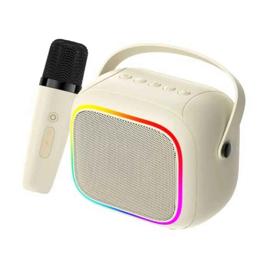 HAVIT SK818BT Portable Wireless Karaoke Speaker