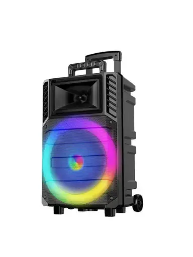 [EY] Multimedia Portable 12-inch Sing-e Bluetooth Smart Double Speaker ZQS-12131