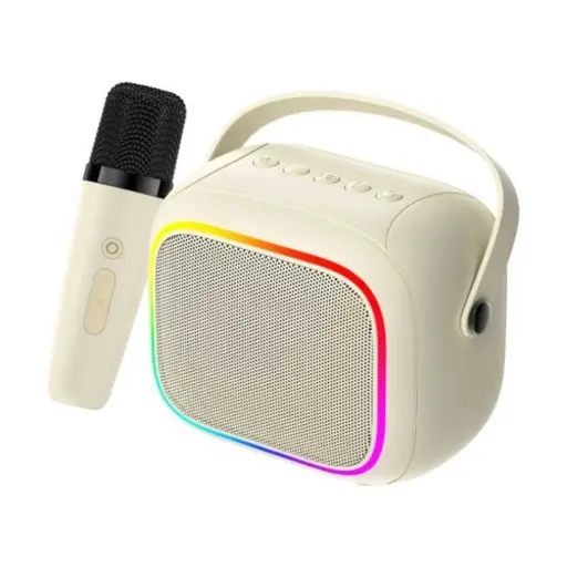 HAVIT SK818BT Portable Wireless Karaoke Speaker